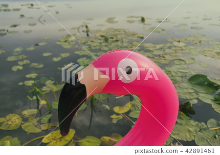 Pink inflatable flamingo on the lake Pink inflatable flamingo on the lake 42891461