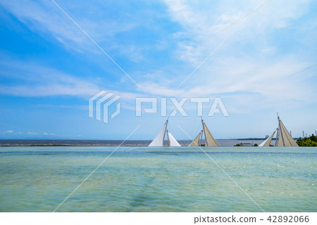 Landscape of Kasai Seaside Aquarium Landscape of Kasai Seaside Aquarium 42892066