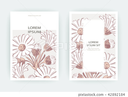 Card of flowers Calendula, Chrysanthemum, Daisy Card of flowers Calendula, Chrysanthemum, Daisy 42892184