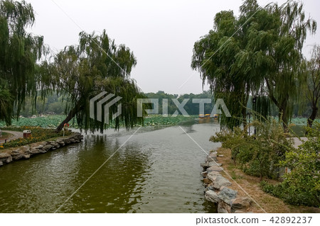 Old Summer Palace : Yuanmingyuan 42892237