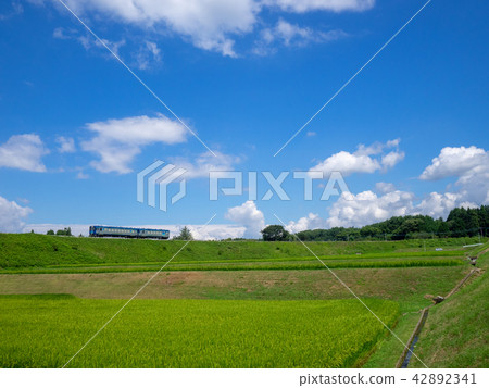 Paddy field and Takahara train 42892341