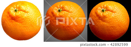 Group of oranges fruit isolated on different background 42892599
