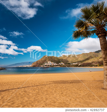 Playa de las Teresitas Beach, Tenerife 42892737