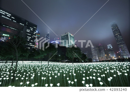 Light Rose Garden In Hong Kong City at night Light Rose Garden In Hong Kong City at night 42893240