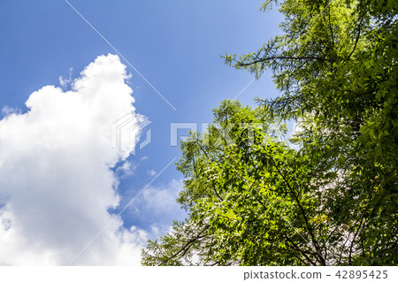 長野縣上高地 42895425