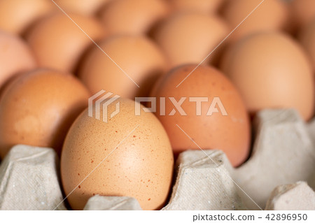 Eggs in box Eggs in box 42896950