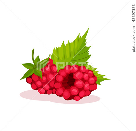 Two pink raspberries with green leaves. Healthy food. Sweet berries. Decorative flat vector element Two pink raspberries with green leaves. Healthy food. Sweet berries. Decorative flat vector element 42897528