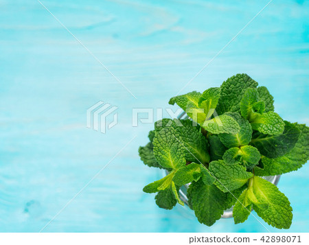 Fresh mint leaf close up on blue background 42898071