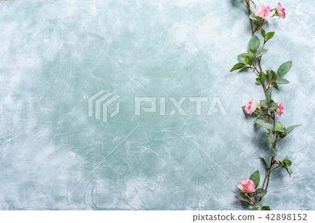 Background material Roses 42898152