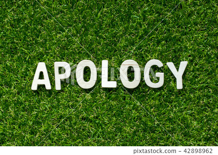Wood alphabet in word apology on green grass Wood alphabet in word apology on green grass 42898962