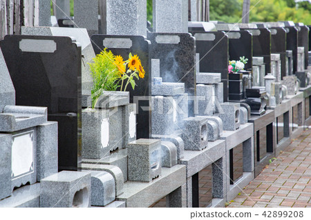Cemetery tombstones and flowers 42899208