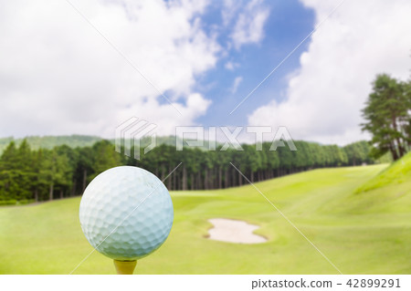 Fresh green golf course Fresh green golf course 42899291