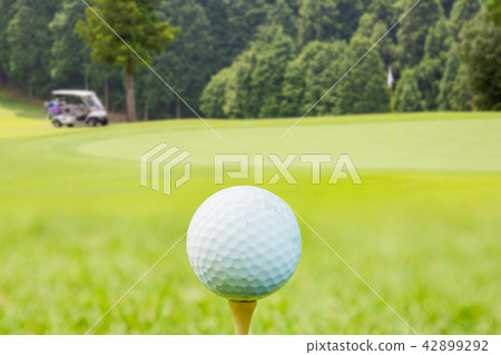 Fresh green golf course 42899292