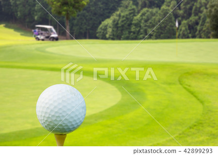 Fresh green golf course Fresh green golf course 42899293