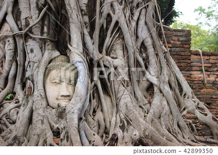 Ayutthaya Ayutthaya 42899350