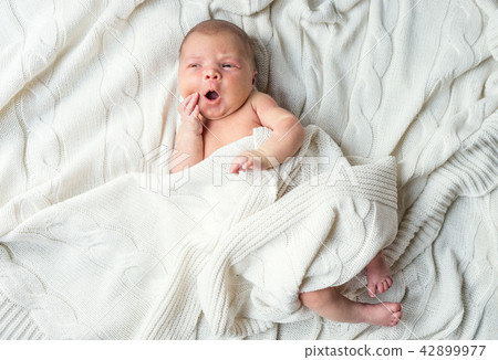 Newborn baby lying on bed, covered by a white blanket. Top view. Newborn baby lying on bed, covered by a white blanket. Top view. 42899977