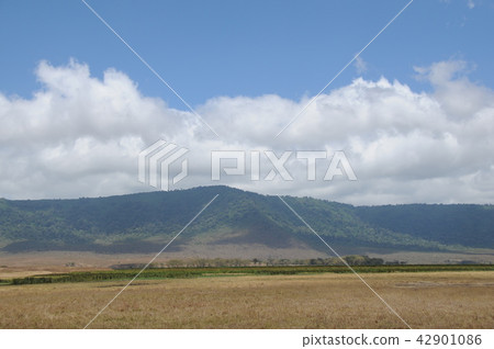 Tanzania, Ngorongoro Conservation Area, Ngorongoro Crater 42901086