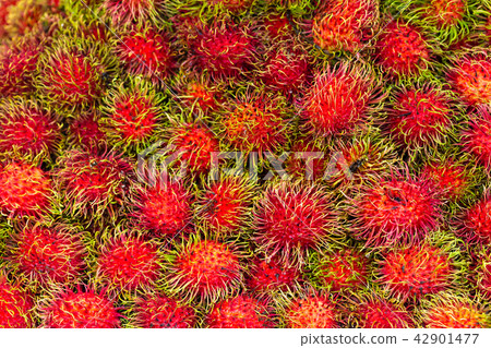 Bulk of Rambutan Fruit 42901477