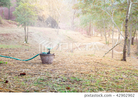 sprinkler of automatic watering-color effect sprinkler of automatic watering-color effect 42902902