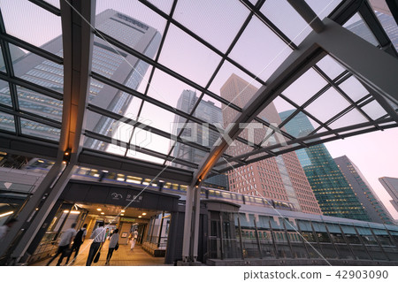 東京的城市景觀在日本島上的摩天大樓在傍晚的天空和Yurikamome 42903090