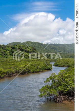 Iriomotejima Hoshigawa Iriomotejima Hoshigawa 42903188