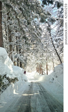 Clear, snowy road 2 Clear, snowy road 2 42903259