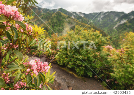 Smoky Mountain National Park Smoky Mountain National Park 42903425
