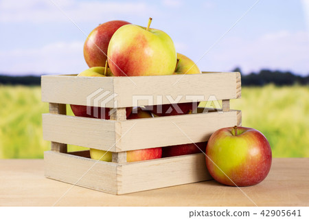 Fresh red apple james grieve with field behind 42905641