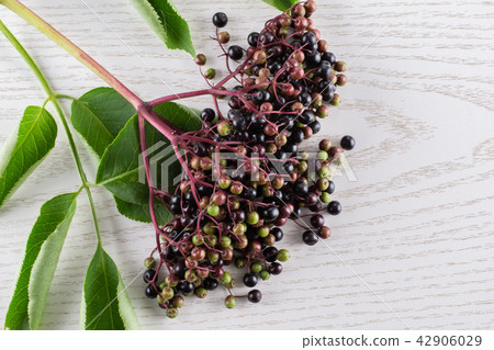Fresh european black elderberry on grey wood 42906029