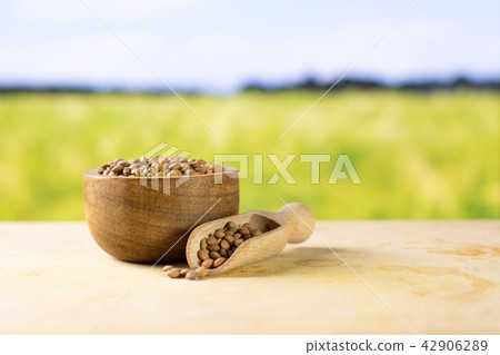 Raw green lentil seeds 42906289