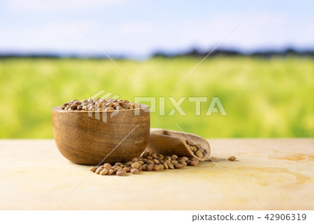 Raw green lentil seeds 42906319