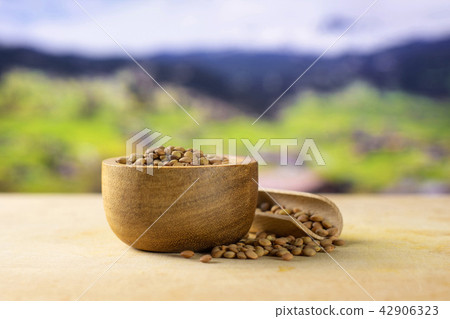 Raw green lentil seeds 42906323
