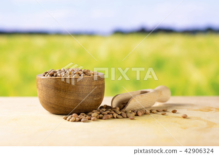 Raw green lentil seeds 42906324