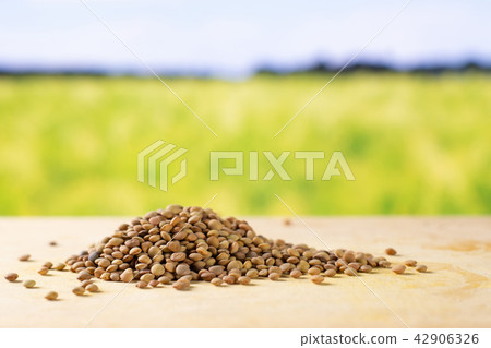 Raw green lentil seeds 42906326