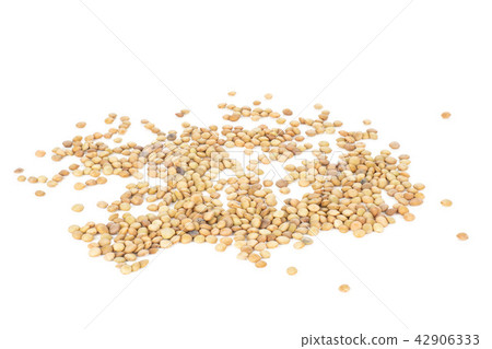 Raw green lentil seeds isolated on white 42906333