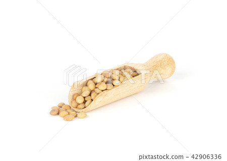 Raw green lentil seeds isolated on white Raw green lentil seeds isolated on white 42906336