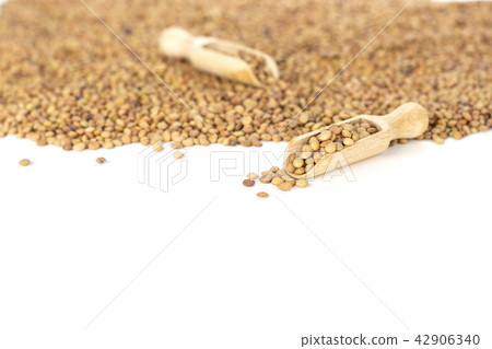 Raw green lentil seeds isolated on white 42906340