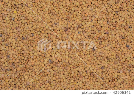 Raw green lentil seeds isolated 42906341