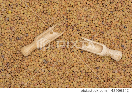 Raw green lentil seeds isolated Raw green lentil seeds isolated 42906342