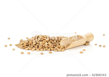 Raw green lentil seeds isolated on white 42906343
