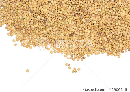 Raw green lentil seeds isolated on white 42906346