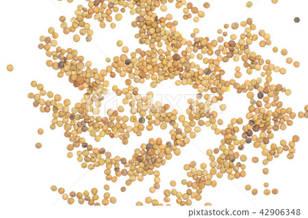 Raw green lentil seeds isolated on white 42906348