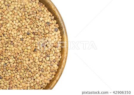 Raw green lentil seeds isolated on white 42906350