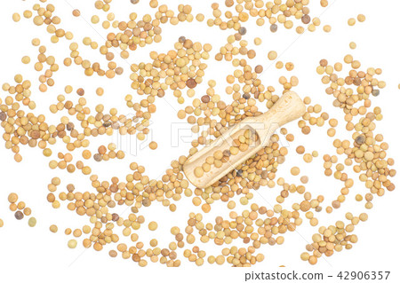 Raw green lentil seeds isolated on white 42906357