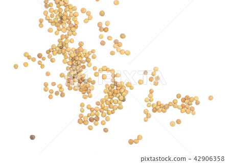 Raw green lentil seeds isolated on white Raw green lentil seeds isolated on white 42906358