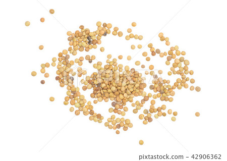 Raw green lentil seeds isolated on white Raw green lentil seeds isolated on white 42906362