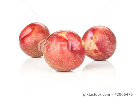 Fresh pluot interspecific plums isolated on white Fresh pluot interspecific plums isolated on white 42906476