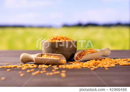 Raw red lentils with field behind 42906486