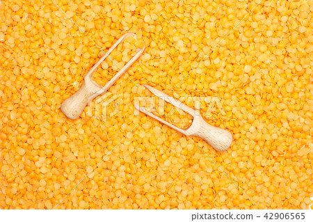 Raw red lentils isolated on white 42906565