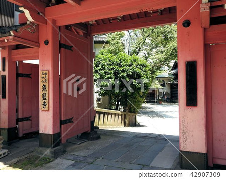 Uotobukuji / Uenozaka 42907309